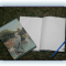 website 009